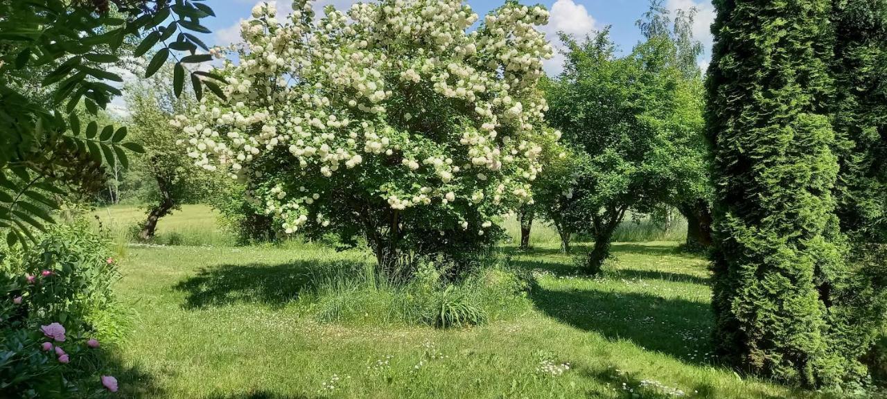 Dom Goscinny Lerka - 240 M2 Mazury Jeziora Lasy Lakorz エクステリア 写真