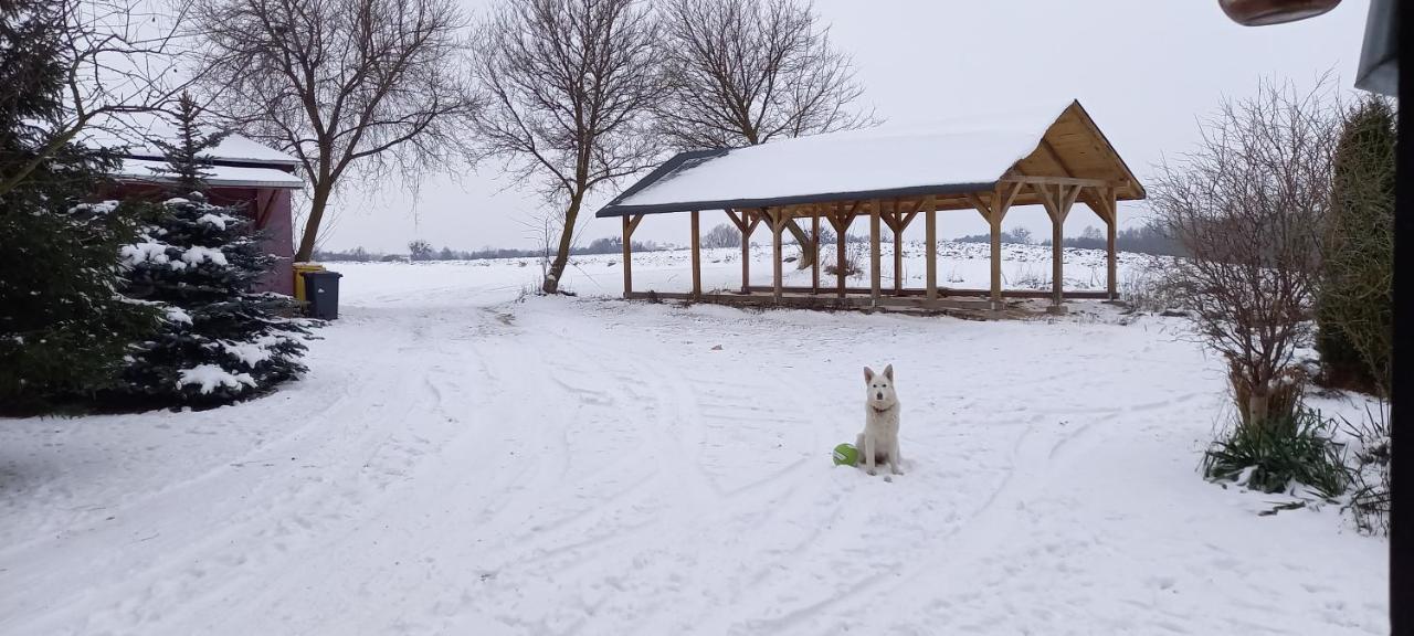 Dom Goscinny Lerka - 240 M2 Mazury Jeziora Lasy Lakorz エクステリア 写真