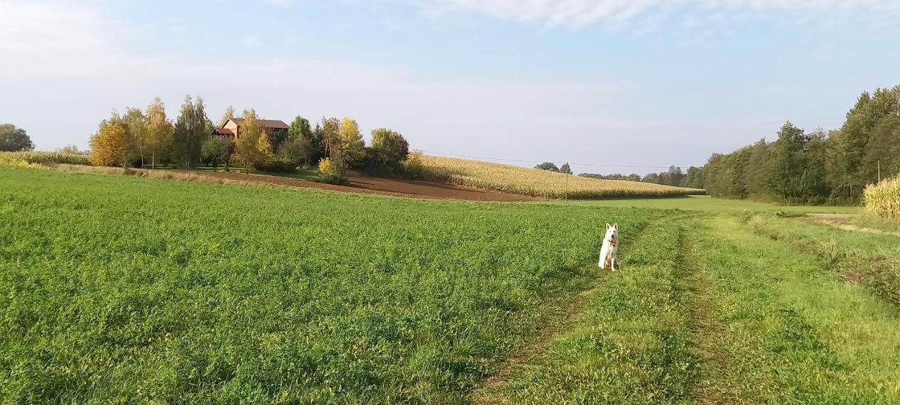 Dom Goscinny Lerka - 240 M2 Mazury Jeziora Lasy Lakorz エクステリア 写真